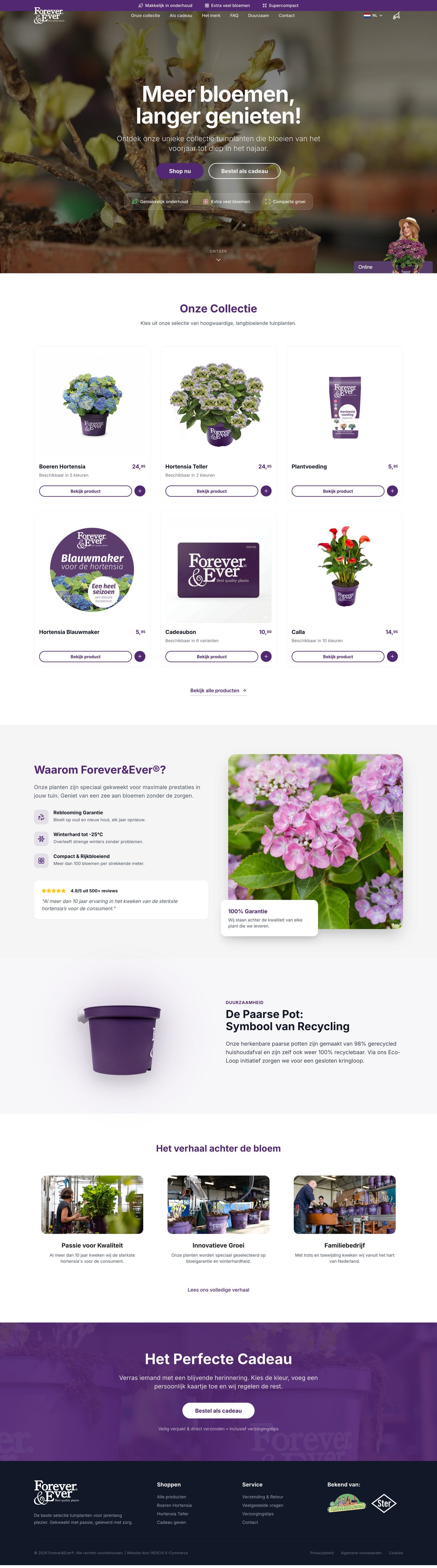 Webshop preview